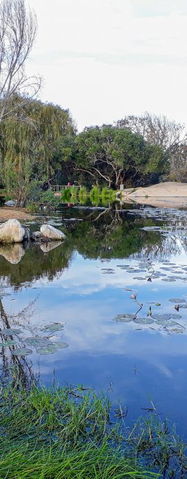 Lake at Spier